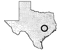 texas2.gif (8350 bytes)